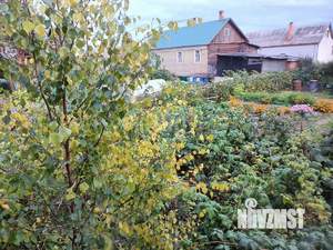 Дом 58м², 1-этажный, участок 5 сот.