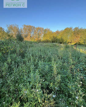 Дом 31м², 1-этажный, участок 12 сот.