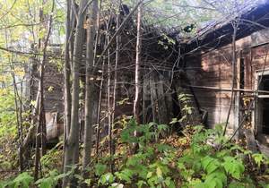 Дом 0м², 1-этажный, участок 11 сот.  