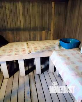 Дом 50м², 1-этажный, участок 7 сот.  