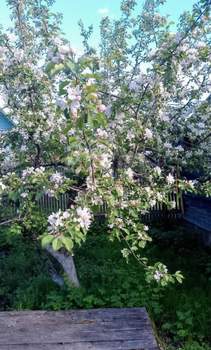 Дом 36м², 2-этажный, участок 7 сот.  