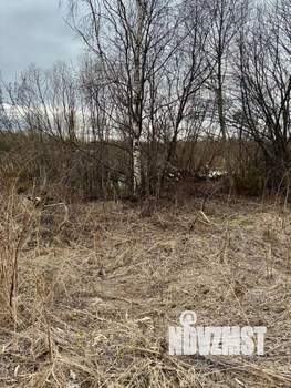 Дом 50м², 1-этажный, участок 10 сот.  