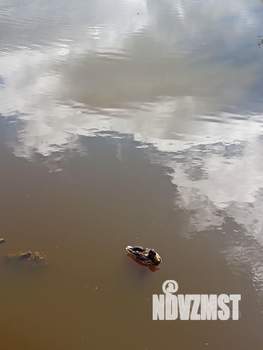 Дом 50м², 2-этажный, участок 7 сот.  