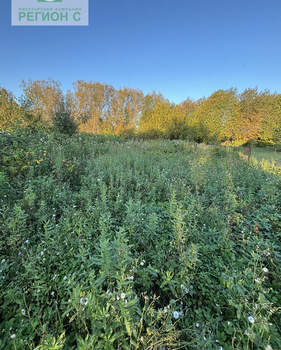 Дом 31м², 1-этажный, участок 14 сот.  