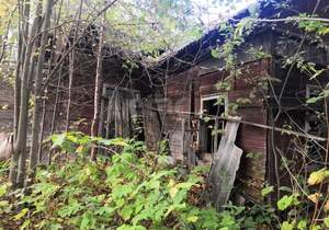 Дом 0м², 1-этажный, участок 11 сот.  