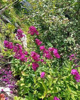 Дом 50м², 2-этажный, участок 7 сот.  