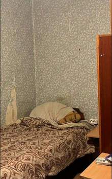 3-к квартира, на длительный срок, 50м2, 1/2 этаж