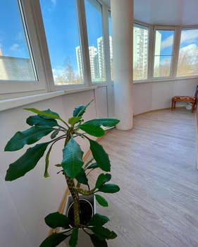 1-к квартира, на длительный срок, 49м2, 1/9 этаж