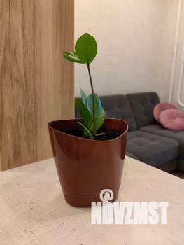 1-к квартира, посуточно, 35м2, 3/9 этаж