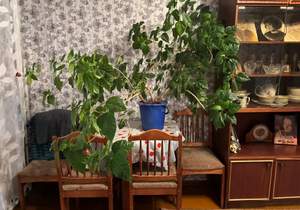 2-к квартира, вторичка, 43м2, 7/9 этаж