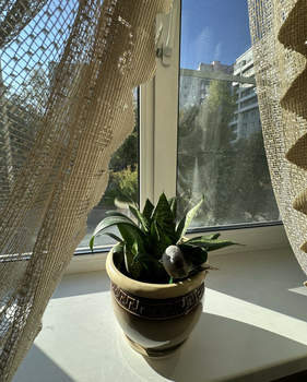 3-к квартира, вторичка, 64м2, 1/10 этаж